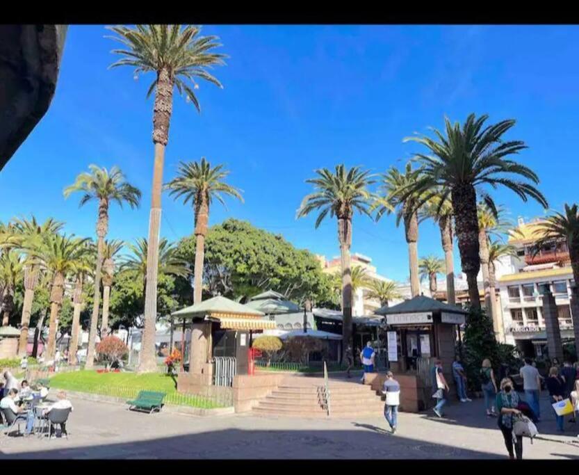 Centrico Y Encantador Estudio En Puerto De La Cruz Zewnętrze zdjęcie